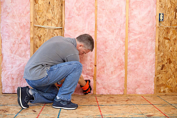 Best Insulation Installation Services in Crimora, VA